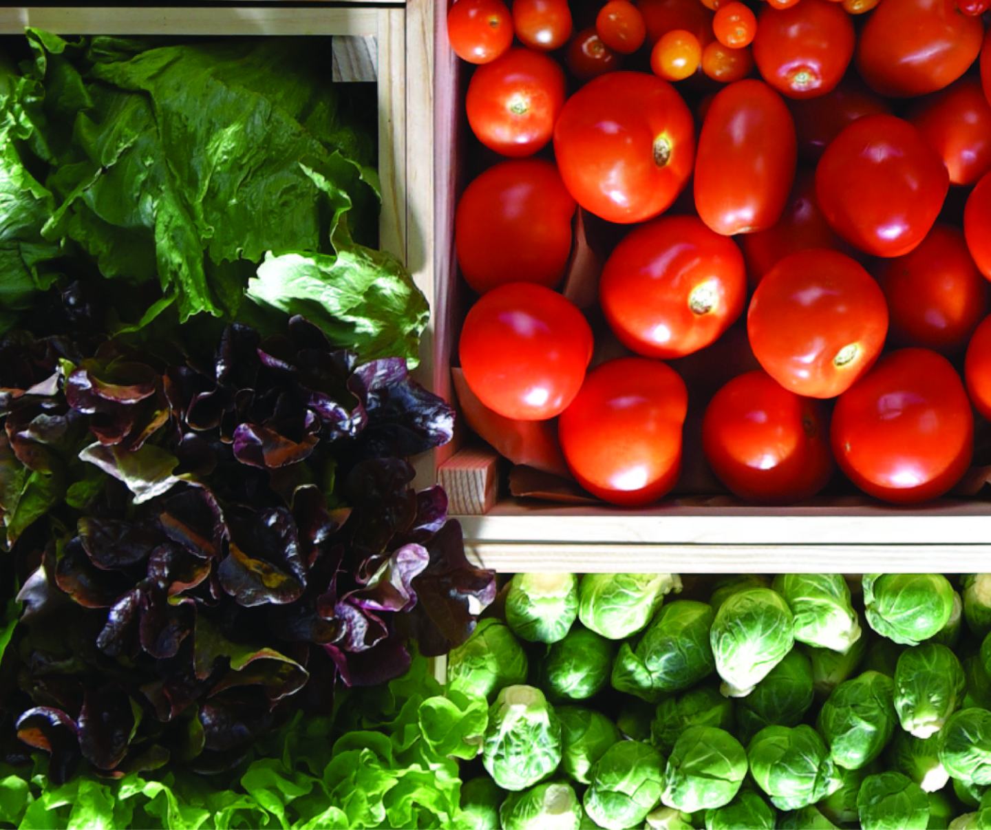 Vegetables FMC Ag Australia